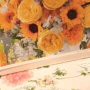 もも ごめんなさい！ PLAYBOY（一番町）