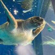 ヒメ日記 2025/09/09 15:33 投稿 めと PLAYBOY（一番町）