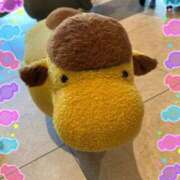 ヒメ日記 2025/09/07 09:30 投稿 岡本紗綾佳 五十路マダム金沢店