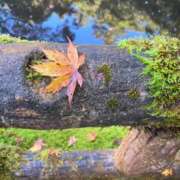 岡本紗綾佳 ありがとうございました☆ 五十路マダム金沢店