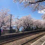 ヒメ日記 2026/04/12 09:44 投稿 岡本紗綾佳 五十路マダム金沢店