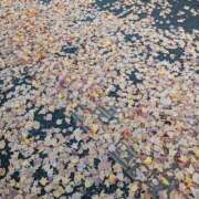 めぐみ 季節の変わり目🍁🍂 PLAYBOY（一番町）