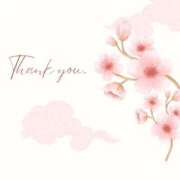 ヒメ日記 2026/03/08 03:45 投稿 めぐみ PLAYBOY（一番町）