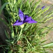 ヒメ日記 2025/06/13 14:05 投稿 はな PLAYBOY（一番町）