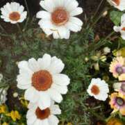 ヒメ日記 2025/06/15 07:15 投稿 はな PLAYBOY（一番町）