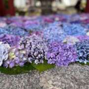 ヒメ日記 2025/06/24 11:25 投稿 はな PLAYBOY（一番町）