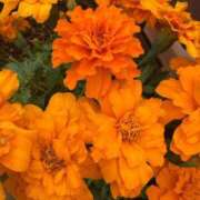 ヒメ日記 2025/06/26 07:35 投稿 はな PLAYBOY（一番町）