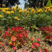 ヒメ日記 2025/07/14 12:15 投稿 はな PLAYBOY（一番町）