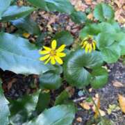 ヒメ日記 2025/07/18 09:55 投稿 はな PLAYBOY（一番町）