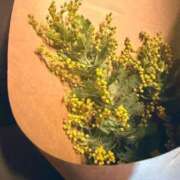 ヒメ日記 2025/08/21 09:15 投稿 はな PLAYBOY（一番町）