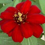 ヒメ日記 2025/08/26 09:15 投稿 はな PLAYBOY（一番町）