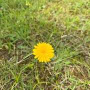 ヒメ日記 2025/09/06 10:35 投稿 はな PLAYBOY（一番町）