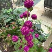 ヒメ日記 2025/09/18 13:25 投稿 はな PLAYBOY（一番町）