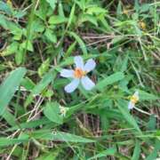 ヒメ日記 2025/09/21 15:35 投稿 はな PLAYBOY（一番町）