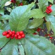 ヒメ日記 2025/09/27 08:35 投稿 はな PLAYBOY（一番町）