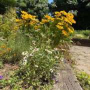 ヒメ日記 2025/10/03 13:06 投稿 はな PLAYBOY（一番町）