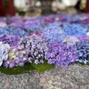 ヒメ日記 2025/10/04 14:45 投稿 はな PLAYBOY（一番町）