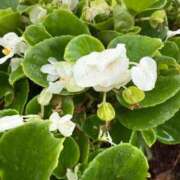 ヒメ日記 2025/10/12 14:55 投稿 はな PLAYBOY（一番町）