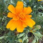 ヒメ日記 2025/10/16 08:55 投稿 はな PLAYBOY（一番町）