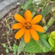 ヒメ日記 2025/10/20 11:15 投稿 はな PLAYBOY（一番町）