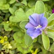 ヒメ日記 2025/10/28 09:05 投稿 はな PLAYBOY（一番町）