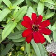 ヒメ日記 2025/11/02 12:15 投稿 はな PLAYBOY（一番町）