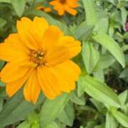 ヒメ日記 2025/11/03 09:25 投稿 はな PLAYBOY（一番町）