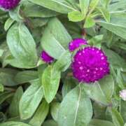 ヒメ日記 2025/11/05 12:27 投稿 はな PLAYBOY（一番町）