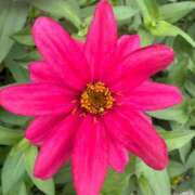 ヒメ日記 2025/11/26 12:25 投稿 はな PLAYBOY（一番町）