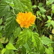 ヒメ日記 2025/12/10 10:23 投稿 はな PLAYBOY（一番町）