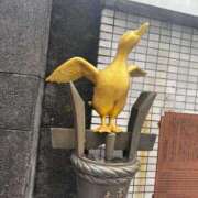 ヒメ日記 2026/01/03 09:55 投稿 はな PLAYBOY（一番町）