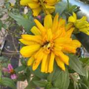 ヒメ日記 2026/02/13 11:55 投稿 はな PLAYBOY（一番町）