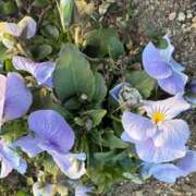 ヒメ日記 2026/02/25 09:29 投稿 はな PLAYBOY（一番町）