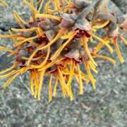 ヒメ日記 2026/02/26 06:05 投稿 はな PLAYBOY（一番町）