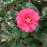 ヒメ日記 2026/02/27 09:25 投稿 はな PLAYBOY（一番町）