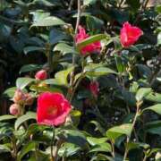 ヒメ日記 2026/02/28 10:35 投稿 はな PLAYBOY（一番町）