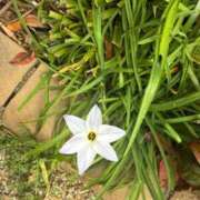 ヒメ日記 2026/03/16 12:05 投稿 はな PLAYBOY（一番町）