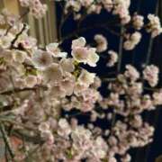 ヒメ日記 2026/03/19 09:46 投稿 はな PLAYBOY（一番町）