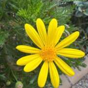 ヒメ日記 2026/03/26 10:55 投稿 はな PLAYBOY（一番町）