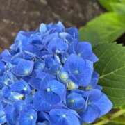 ヒメ日記 2026/06/24 07:45 投稿 はな PLAYBOY（一番町）