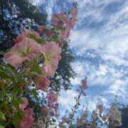 ヒメ日記 2026/07/03 07:55 投稿 はな PLAYBOY（一番町）