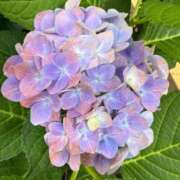 ヒメ日記 2026/07/04 08:55 投稿 はな PLAYBOY（一番町）