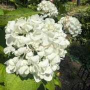 ヒメ日記 2026/07/14 07:55 投稿 はな PLAYBOY（一番町）