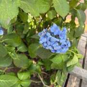 ヒメ日記 2026/07/20 12:05 投稿 はな PLAYBOY（一番町）