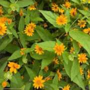 ヒメ日記 2026/08/22 08:15 投稿 はな PLAYBOY（一番町）