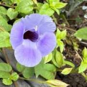 ヒメ日記 2026/09/20 08:47 投稿 はな PLAYBOY（一番町）
