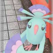 ヒメ日記 2025/12/26 13:50 投稿 斎藤　みらい ピンクダイア