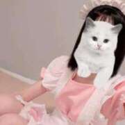 ヒメ日記 2026/02/08 17:05 投稿 るる PLAYBOY（一番町）