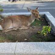 ヒメ日記 2025/10/20 20:06 投稿 一ノ瀬　雪 タッチVIP