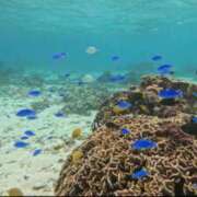 ヒメ日記 2025/11/20 20:18 投稿 一ノ瀬　雪 タッチVIP